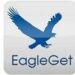 EagleGet 2.1.6.70 Portable Free Download