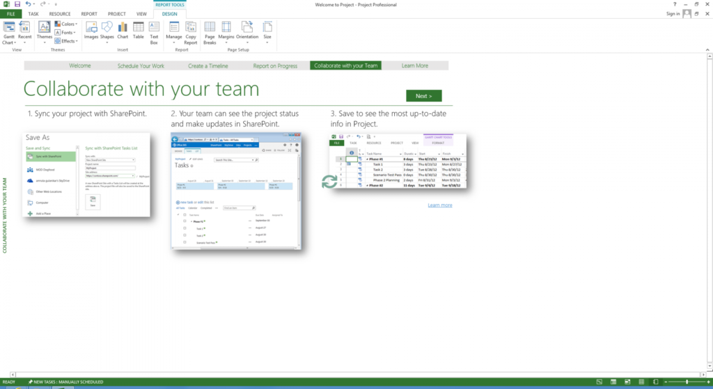Microsoft Project Professional 2013 SP1 Free Download