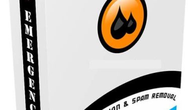 NETGATE Spy Emergency 24.0 Free Download