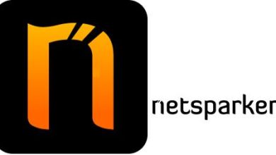 Netsparker Professional 4.6 Free Download