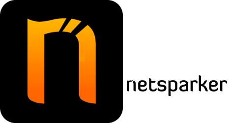 Netsparker Professional 4.6 Free Download