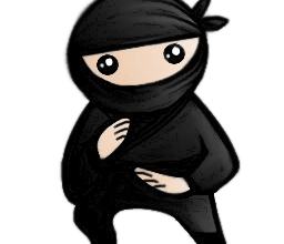 System Ninja 3.1 Free Download