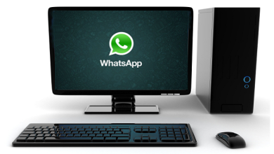 WhatsApp 0.2 Pc Free Download