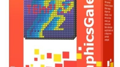 GraphicsGale 2.05.10 Free Download