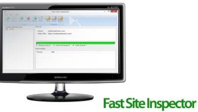 Fast Site Inspector 3.0.0.700 Free Download