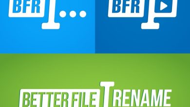 Better File Rename 6.03 Portable Free Download