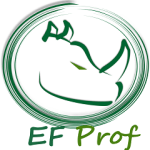 Entity Framework Profiler 4.0 Free Download