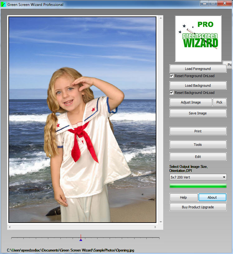 Green Screen Wizard Professional 9.6 Free Download