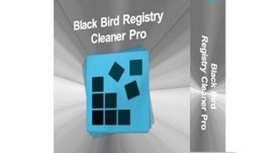 Black Bird Registry Cleaner Pro 1.0.0.6 Free Download