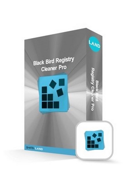 Black Bird Registry Cleaner Pro 1.0.0.6 Free Download