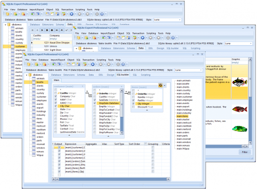 SQLite Expert Professional Edition 5.1.1.118 Free Download