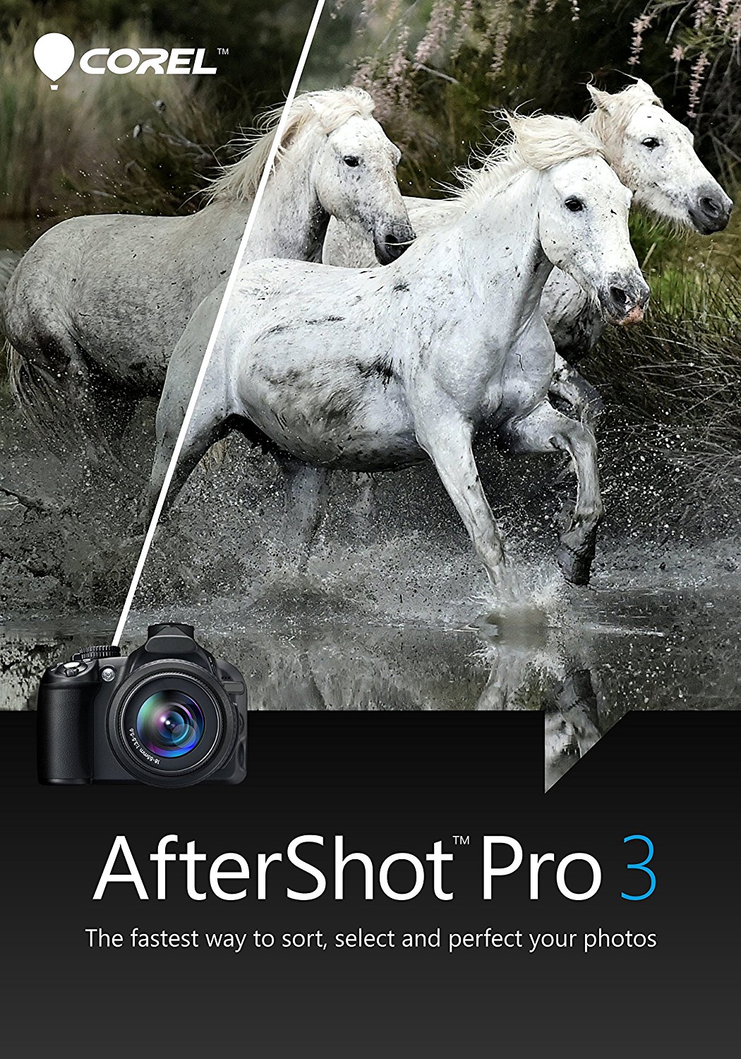 Corel AfterShot Pro 3 Photo Editor Free Download