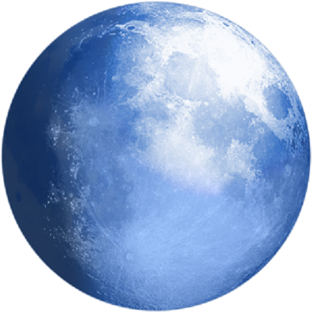 pale moon portable download
