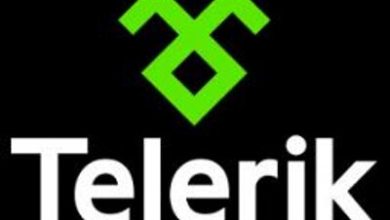 Fiddler 4.6.20172.34691 Free Download