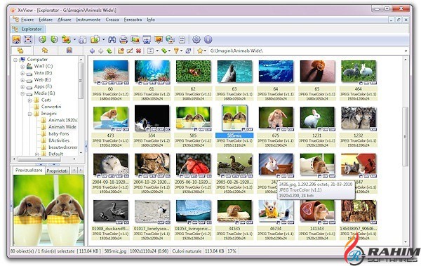 XnView Photos Application Software Free Download