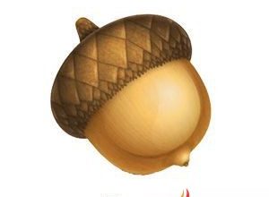 Acorn Photo Editor Free Download