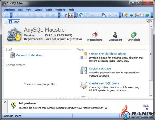 AnySQL Maestro Professional 16 Free Download