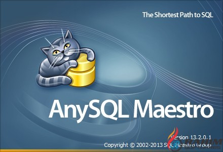 AnySQL Maestro Professional 16 Free Download