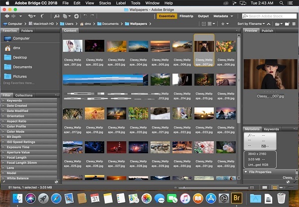 Download Adobe Bridge CC 2018 v180