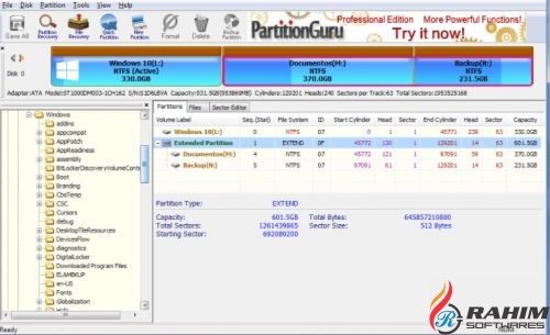PartitionGuru Pro 4.9.5 Portable Free Download
