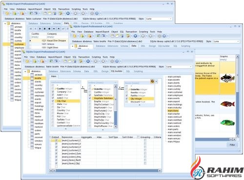 SQLite Expert Professional 5.2.2.299 Free Download