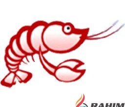 CodeLobster PHP Edition Pro 5.14.1 Free Download