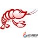 CodeLobster PHP Edition Pro 5.14.1 Free Download