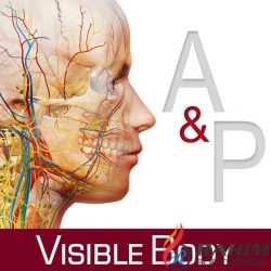 Body Anatomy and Physiology 1.5.04 Free Download