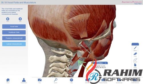Body Anatomy and Physiology 1.5.04 Free Download