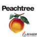 Peachtree 2002 v9.0 Free Download (26)