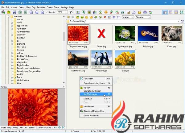 Download FastStone Image Viewer Portable Free