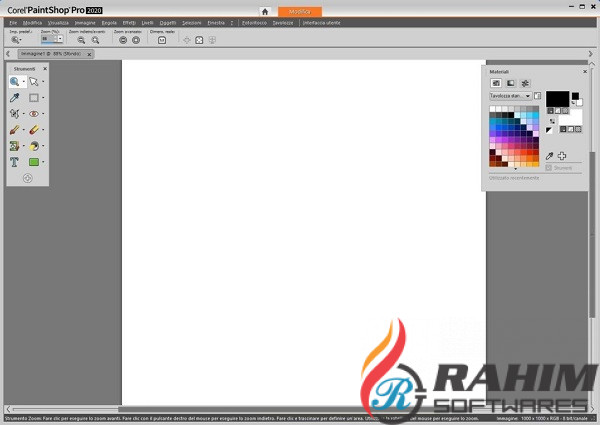 Corel PaintShop Pro 2020 x86-x64 Free Download