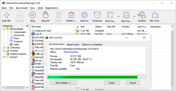 Internet Download Manager 6.41.2 Free Download for PC