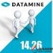 Datamine Studio 5D Planner 14.26 Free Download