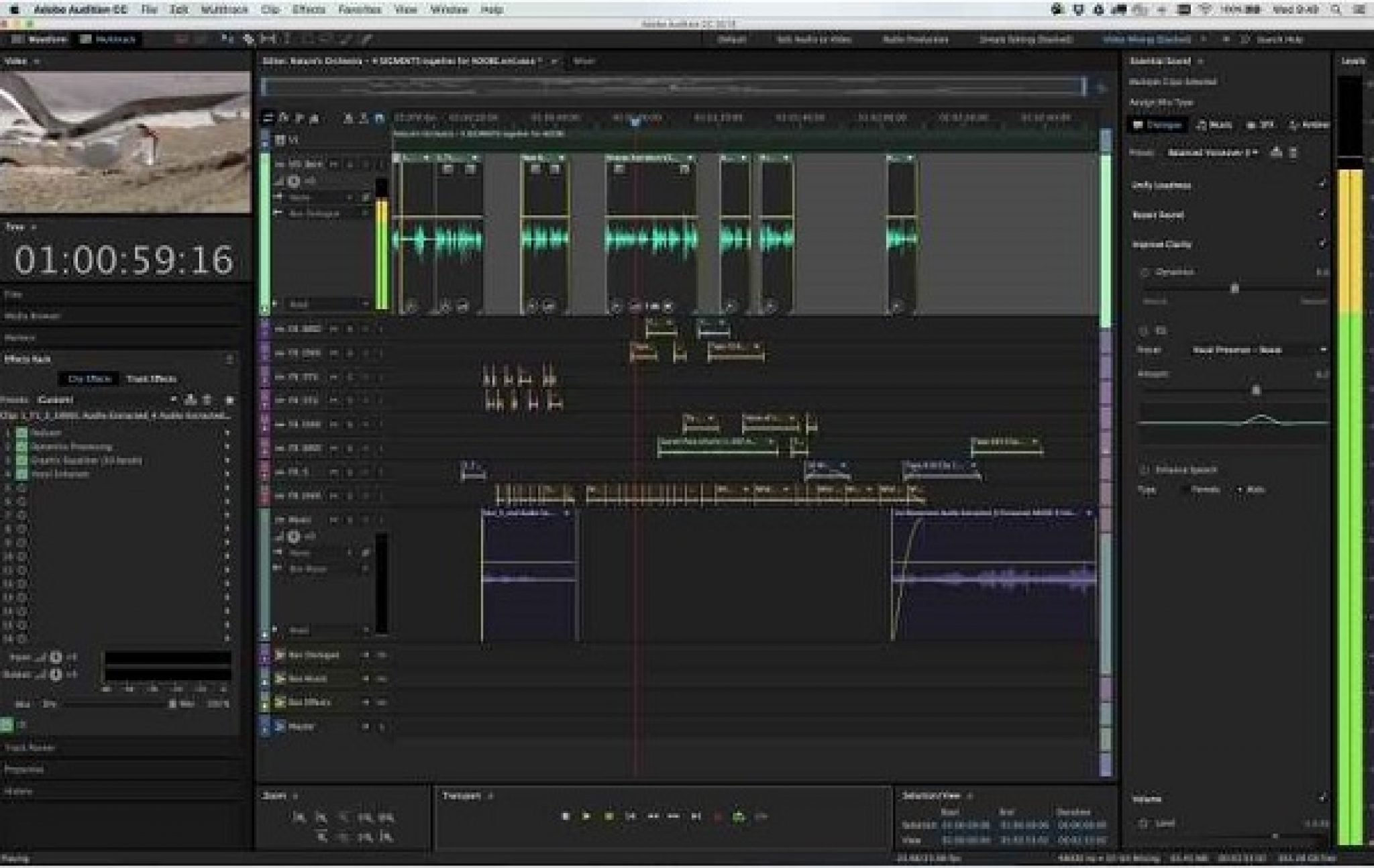 adobe audition free trial