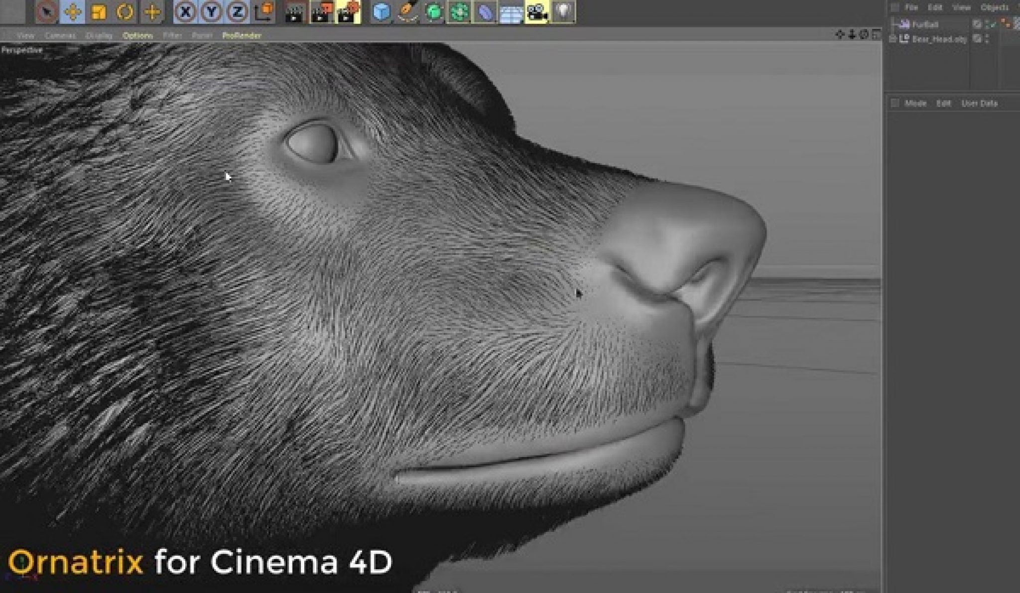 cinema 4d ornatrix