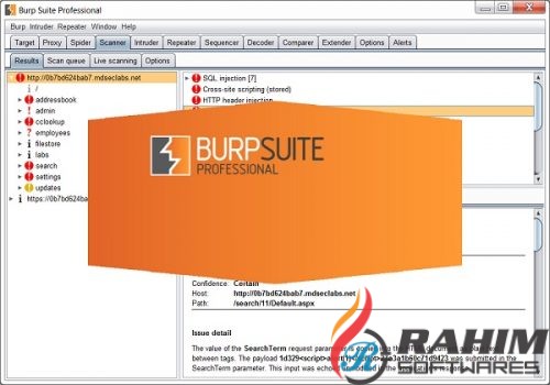 Burp Suite Professional 2023.10.2.3 for windows download free