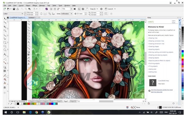 coreldraw graphics suite 2020 mac