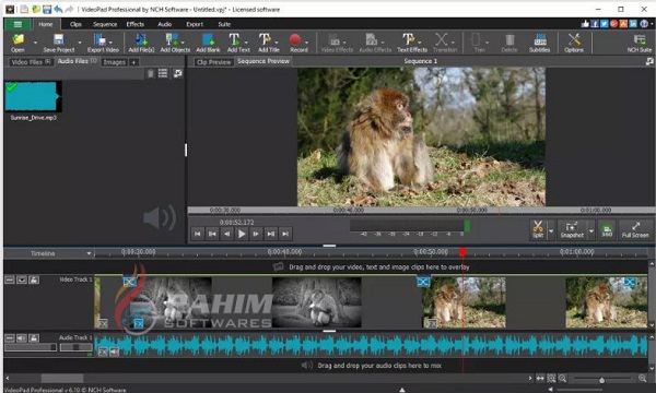 NCH VideoPad Video Editor Pro 13.59 download the last version for iphone