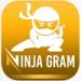 ninjagram alternative