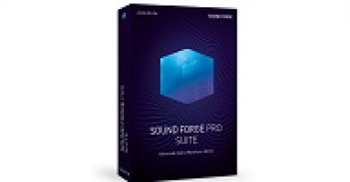 magix sound forge pro 11 in torrent