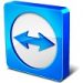 teamviewer portable old version