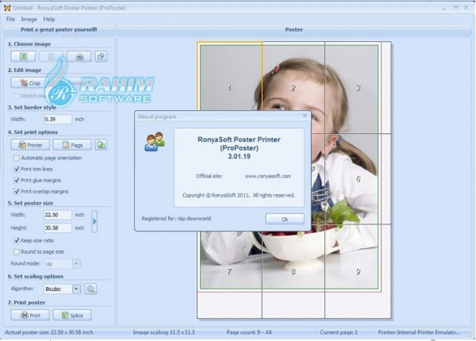 RonyaSoft Poster Printer 3.2.21 Portable Free Download
