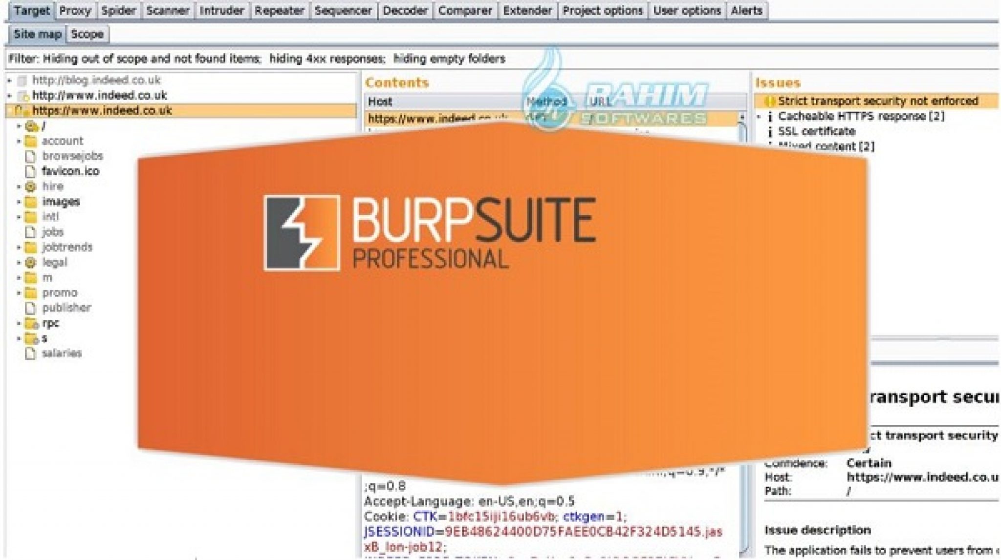 burp suite professional free download