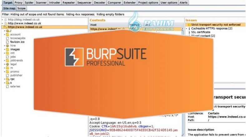 Burp Suite Professional 2023.10.2.3 instal the new for windows