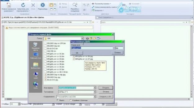 Araxis Merge Professional 2023.5916 for windows instal free