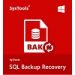 Kernel SQL Backup Recovery