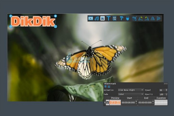 DikDik Software 5