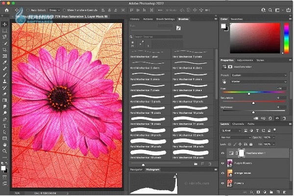 Adobe Photoshop Elements 2022 download