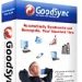 GoodSync Enterprise 12